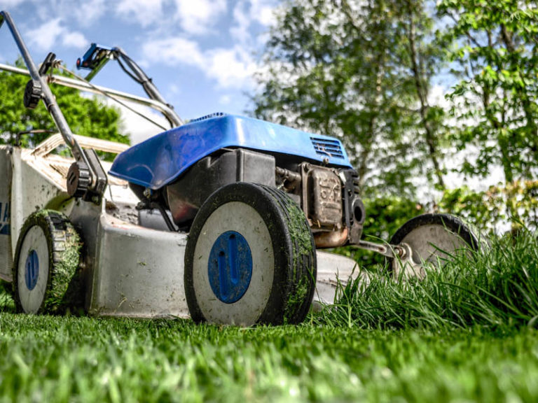 Manutenzione del verde