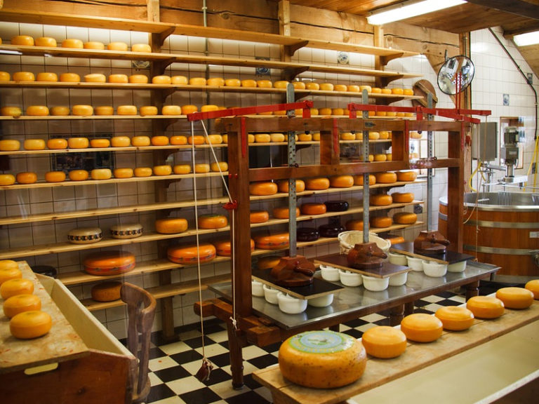 Pulizia stabilimenti di lavorazione alimenti